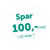 6 Spar 100,- i 12 mdr.