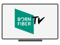 BornFiber TV
