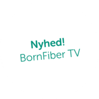 Nyhed BornFiber TV