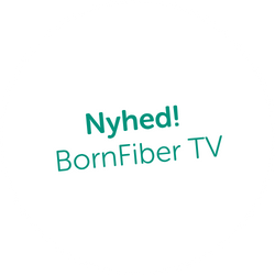 Nyhed BornFiber TV